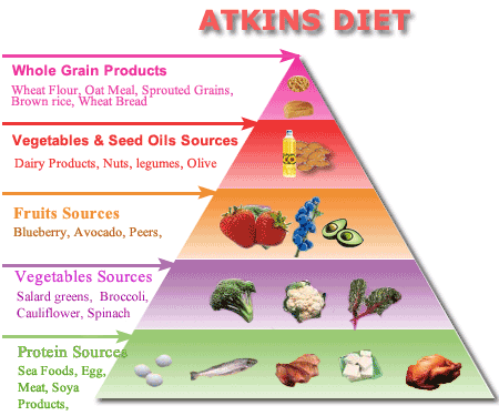 atkins diet induction results