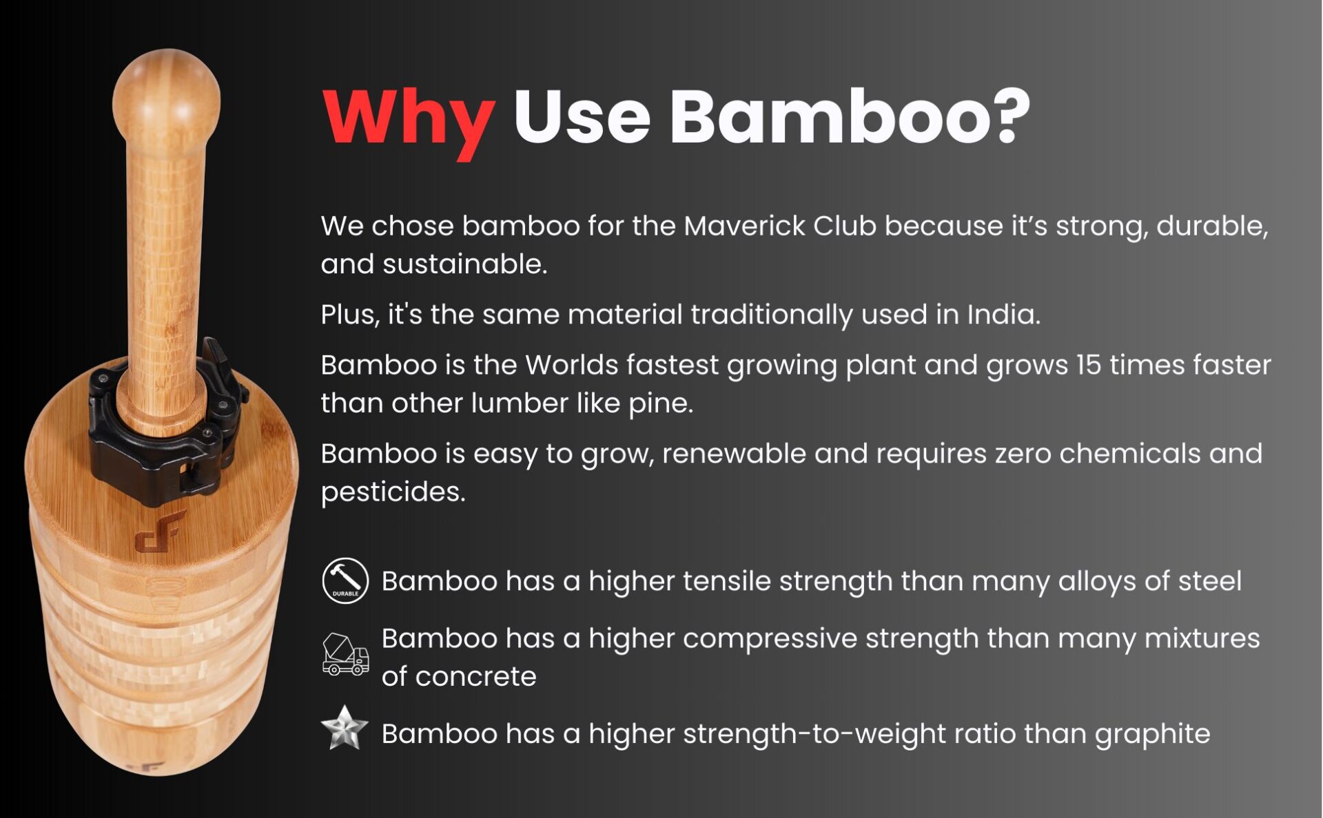 Bamboo